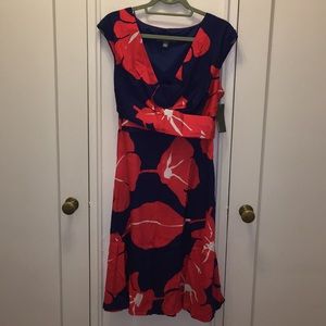 NWT Blue red dress